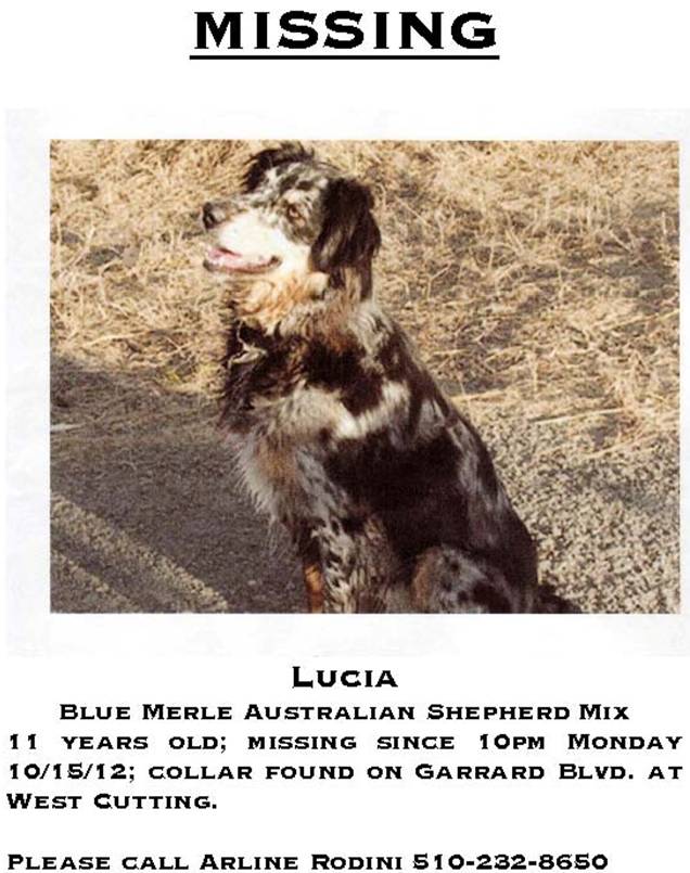 Lucia.jpg
